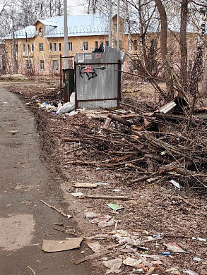 Контейнерные площадки на Сортировке завалены мусором